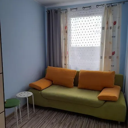 Z Garazem Blisko Lotniska Apartment